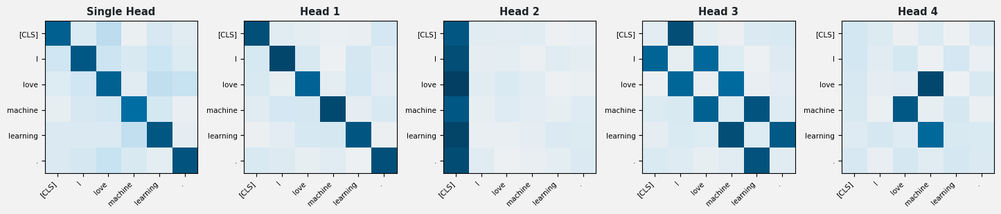 Five attention heatmaps over the same sentence: one single-head map and four multi-head maps showing distinct patterns such as diagonal focus, CLS-column focus, local neighbor bands, and semantic links.