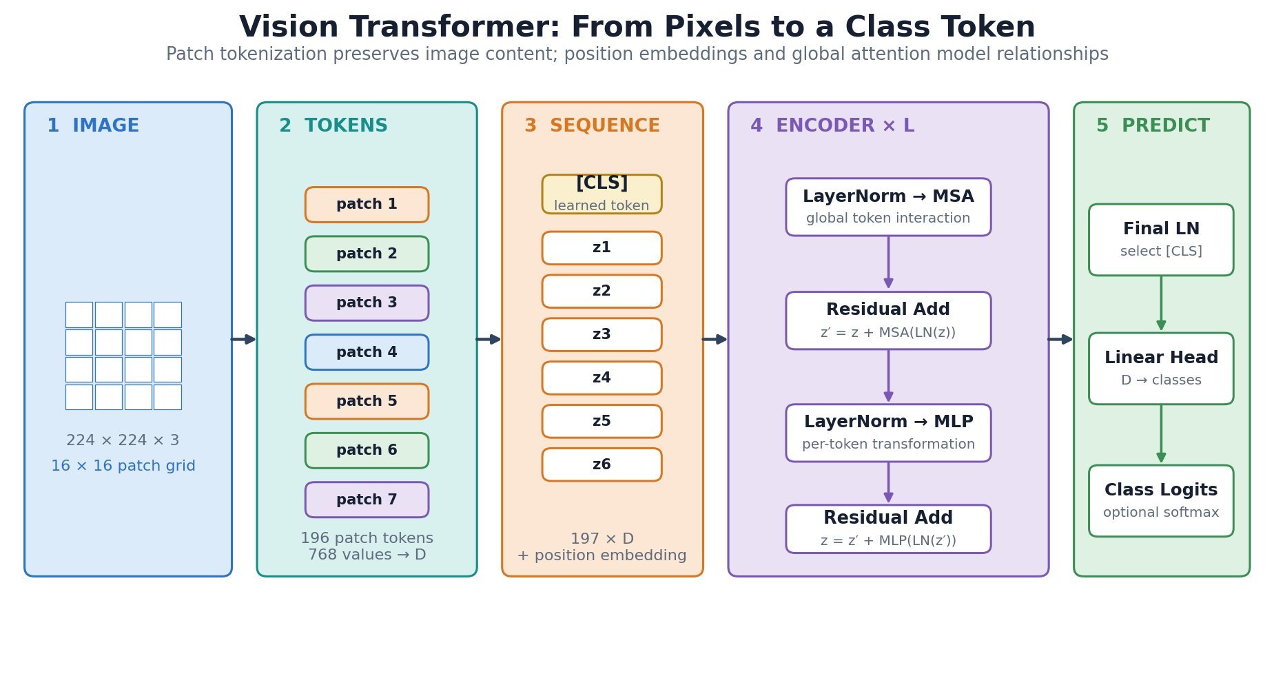 Vision Transformer architecture from image patchification through token encoding and classification.