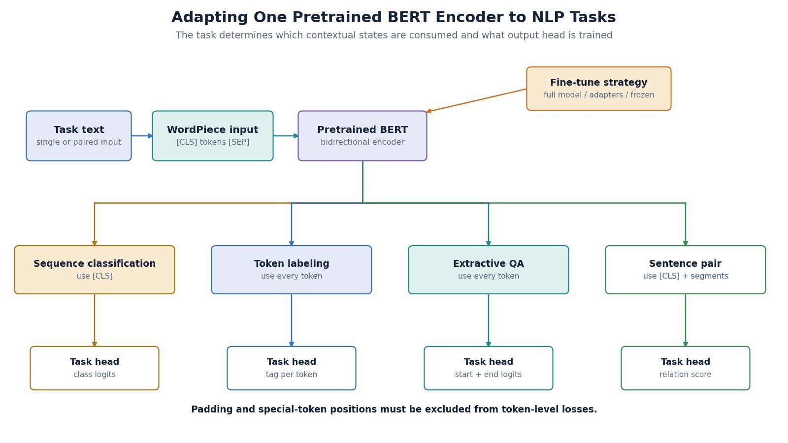 BERT fine-tuning flowchart for classification, token labeling, question answering, and sentence pairs.